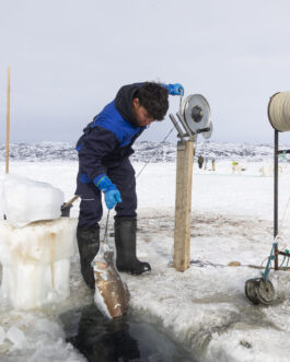 Ice fishing by dogsledding / transport snowmobile – 8 hours