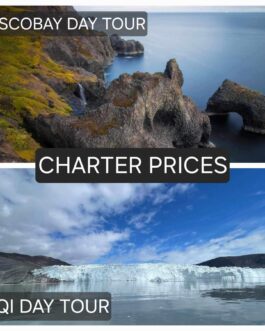 Charter Prices for Eqi Glacier & Discobay